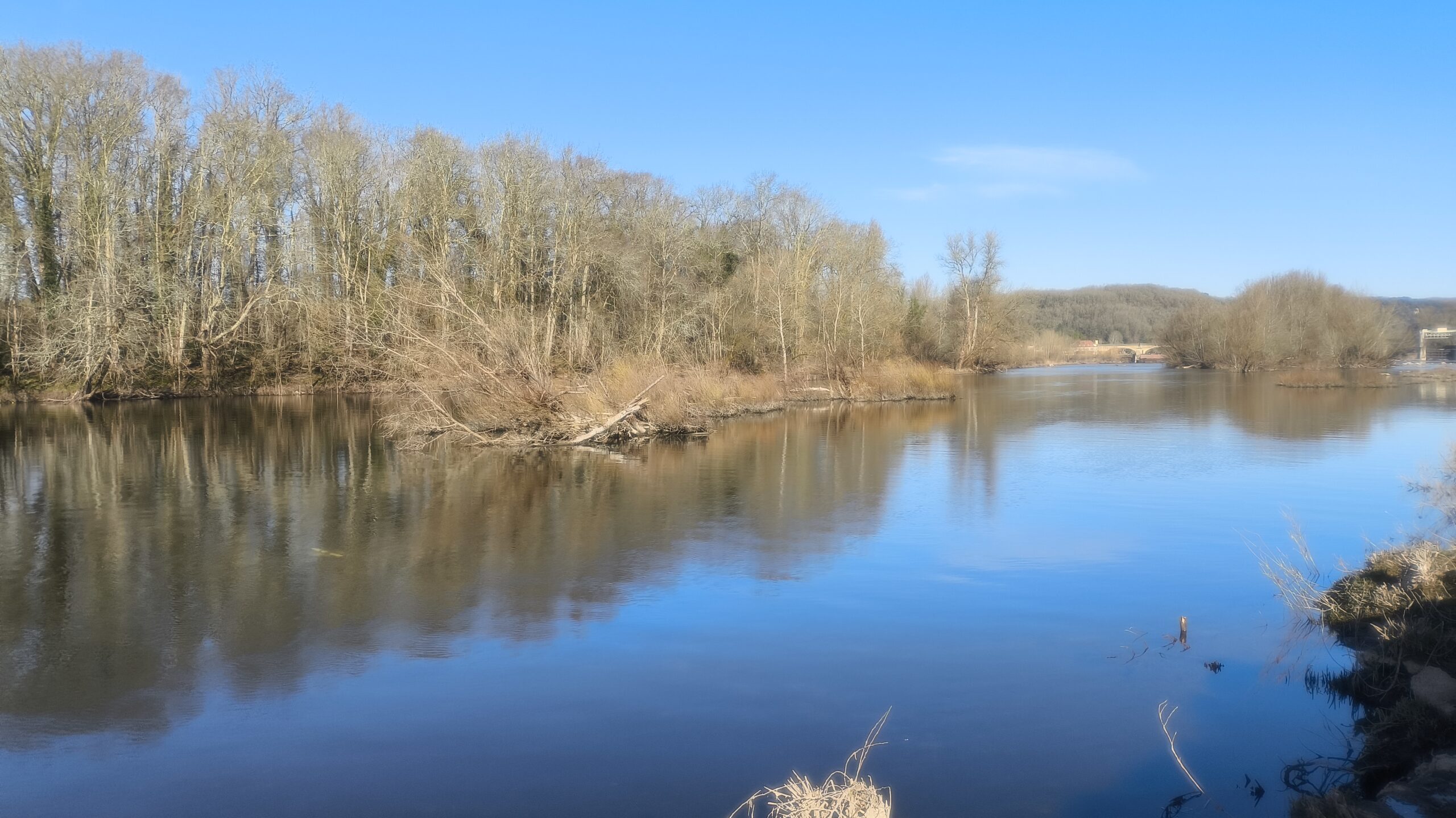 Suivi de la migration du saumon atlantique et de la grande alose par télémétrie acoustique sur la rivière Dordogne