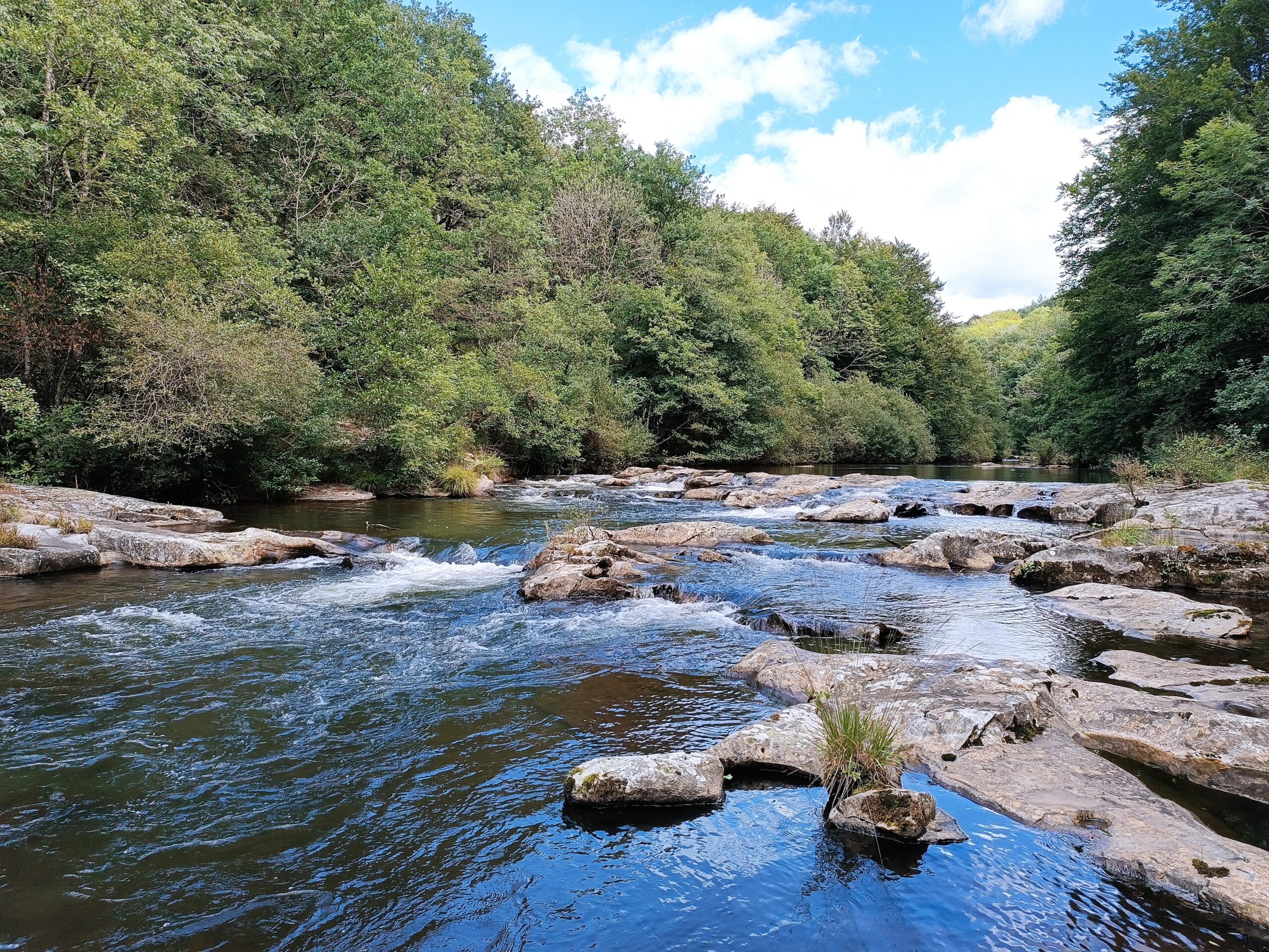 Prélèvement d’eau pour la recherche d’ADNe de moule perlière