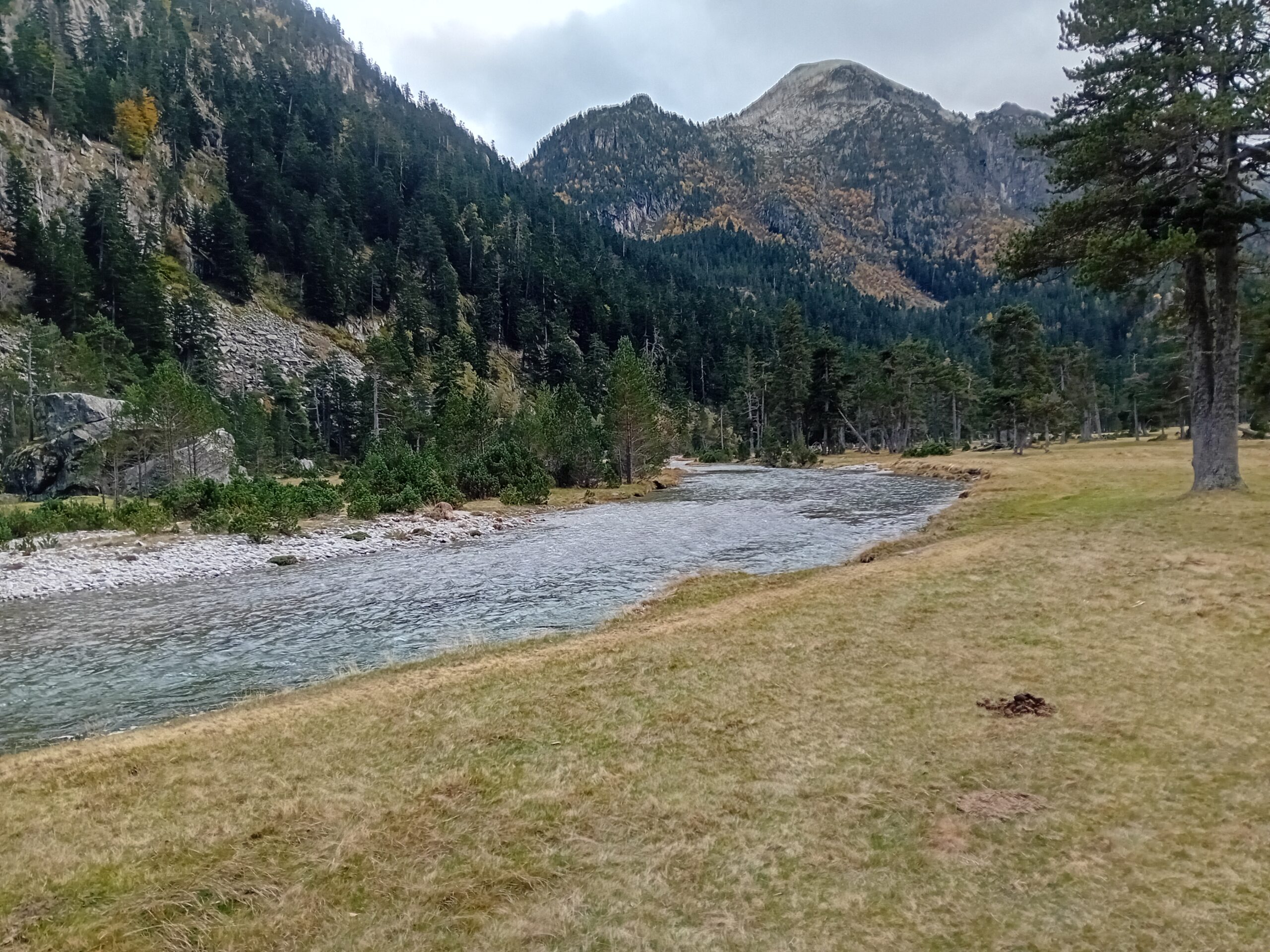 ECOGEA aux journées scientifiques du Parc National des Pyrénées